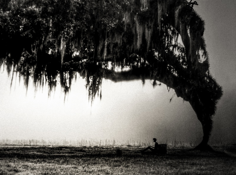 man, Thoughts, Tree, negative, frightening, environment, fog, water, field, Fear, land, Depression, growth, 4K, tranquility, Dream, lake, idyllic, no people