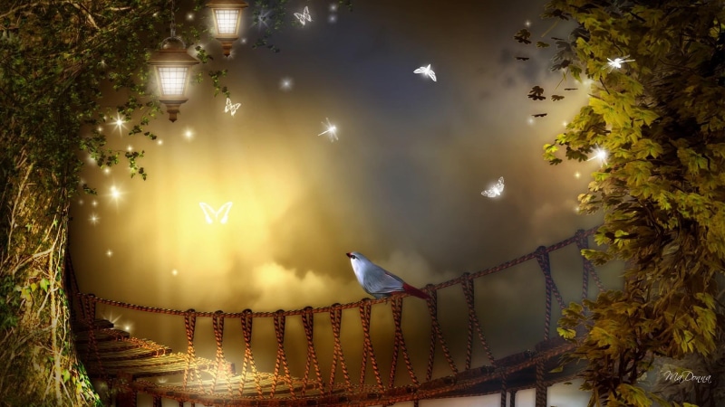 rope, leaves, bird, fall, papillon, amber, butterflies, dragonfly, mist, eerie, trees, butterfly, bridge, 1080P