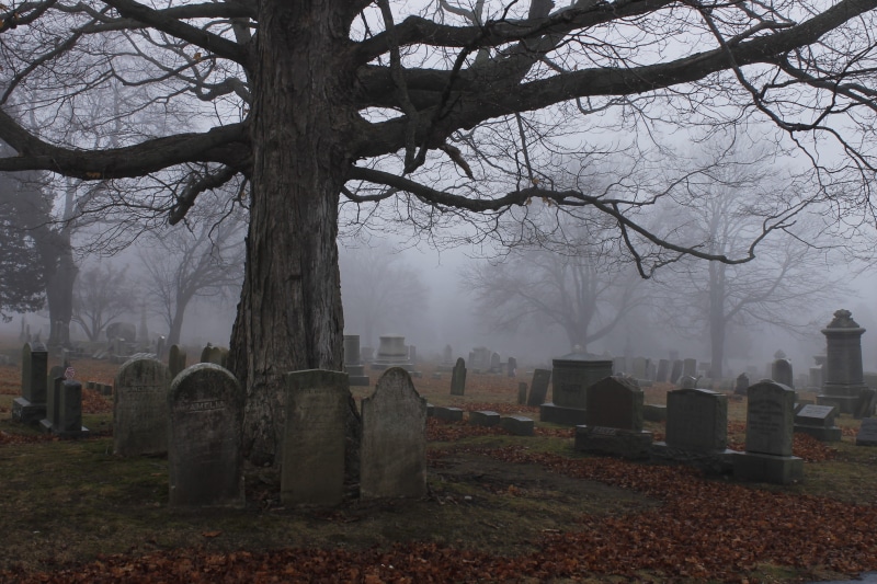 outdoors, united states, grave, religion, graves, belief, nature, cemetery, newlondonct, gravestones, haunted, fog, eerie, memorial, tombs, tree trunk