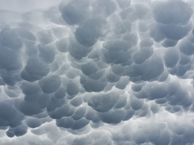 cloud - sky, day, heaven, abstract, abstract backgrounds, nature, outdoors, white, pattern, mood, mammatocumulus, 2K, no people, mammatus cloud, textured effect