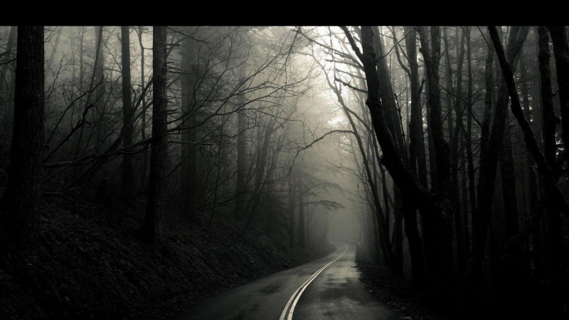 outdoors, diminishing perspective, direction, 720P, tranquil scene, land, plant, tranquility, nowhere dark eerie trees road nightmare, the way forward
