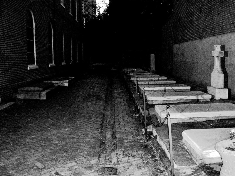 philadelphia ghost tour, eerie, 1080P, darkened, animals