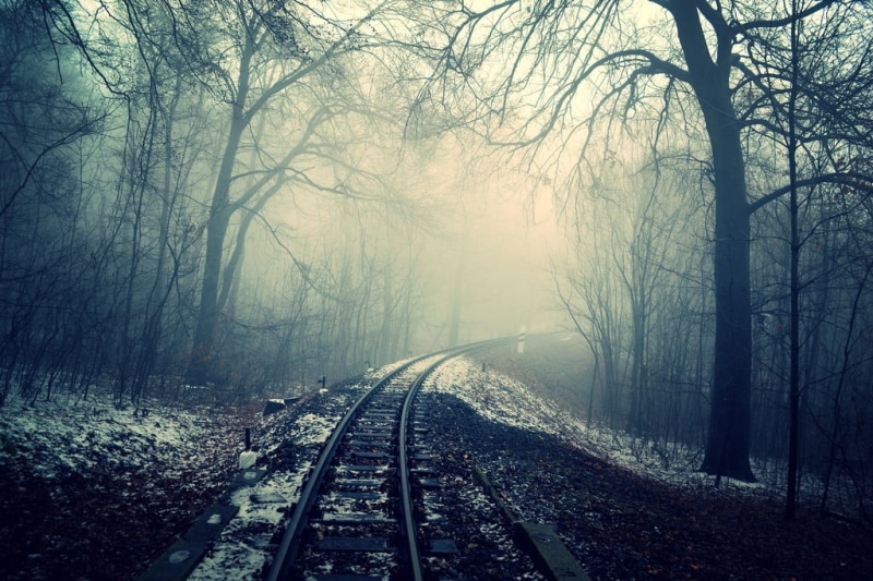 mist, railroad track, tranquility, ghostly, track, scary, trees, haunted, train, winter, outdoors, cold temperature, woodland, direction, rail, cold, nature