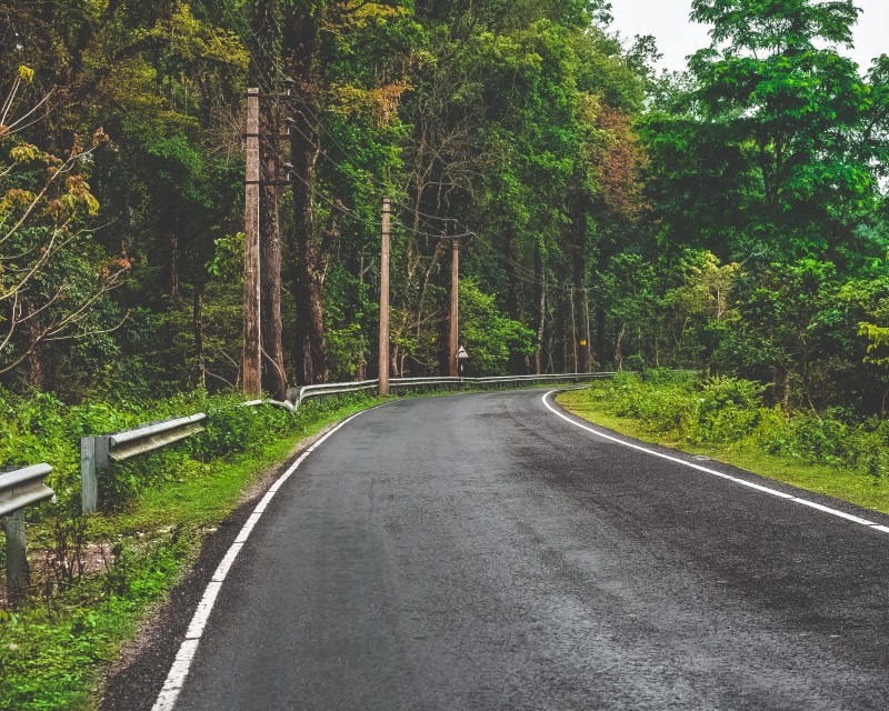 road, background image, symbol, no people, nature, direction, trees, moody image, 4K, grass, outdoors, empty, growth, beauty in nature, plant