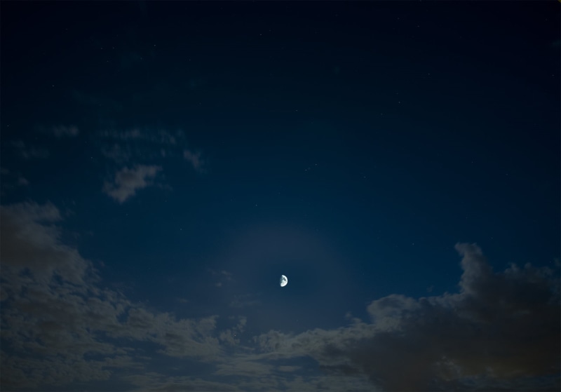 beauty in nature, low angle view, space, clouds, sky, nature, animal wildlife, star - space, animal, animal themes, cloud - sky, tranquil scene, animals in the wild