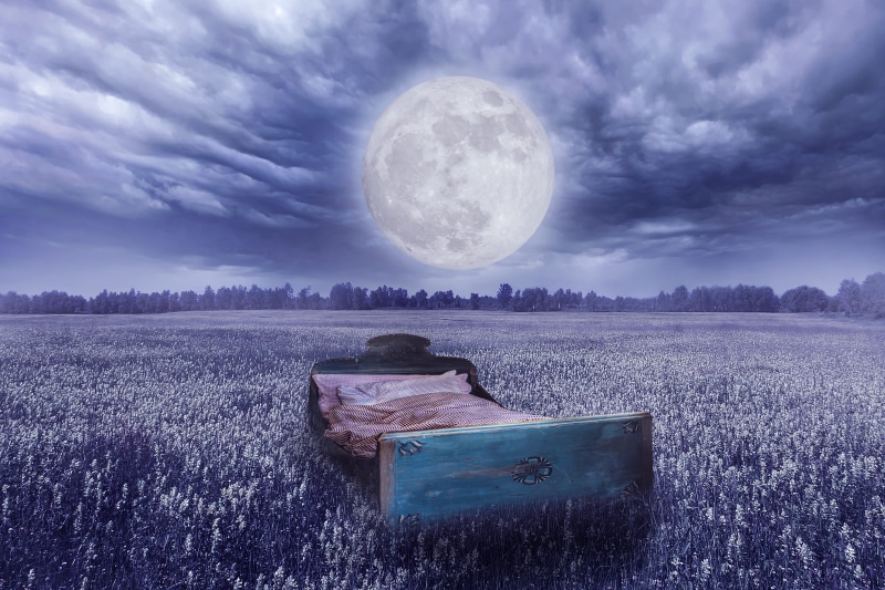 land, composing, outdoors, environment, full moon, cloud - sky, frame, clouds, 5K, no people, rural scene, night sky, moonlight, purple, meadow, tree