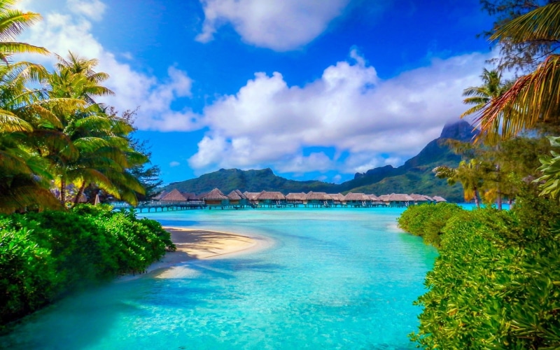 bora bora french polynesia nature landscape beach sea palm trees island resort summer tropical mountain, 1080P