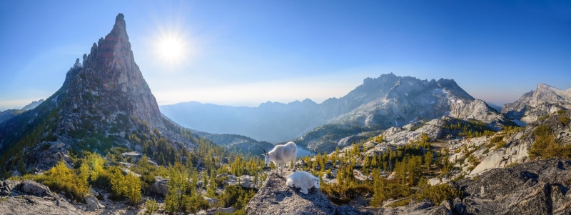snowcapped mountain, goats, house, idyllic, outdoors, tranquility, scenics - nature, nature, environment, trees, white, sky, mountain, near, water, brown