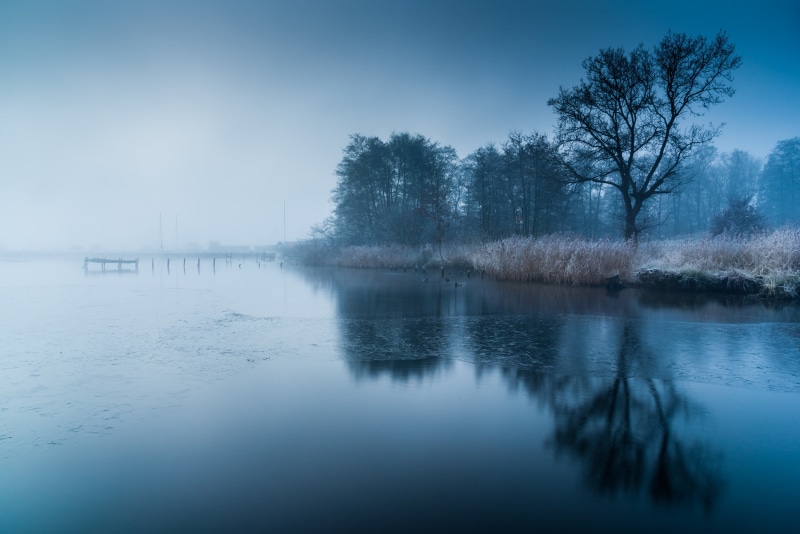 tranquil scene, waterfront, fog, nature, plant, outdoors, frozen lake, scenics - nature, 2K, reflection, tranquility, sky, lake, no people, non-urban scene