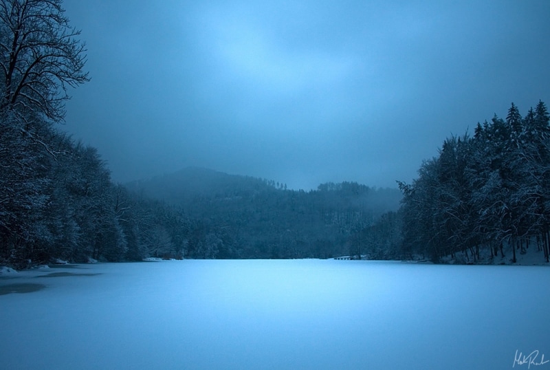 blue, backgrounds, cold temperature, coniferous tree, cold - Temperature, nature, spruce Tree, plant, scenics, outdoors, morning, scenics - nature, tree