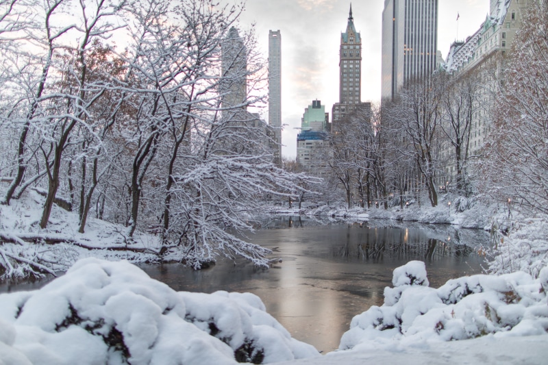 office building exterior, newyork, building exterior, architecture, centralpark, 5K, reflection, tree, scenics - nature, frozen, day, lights, cityscape