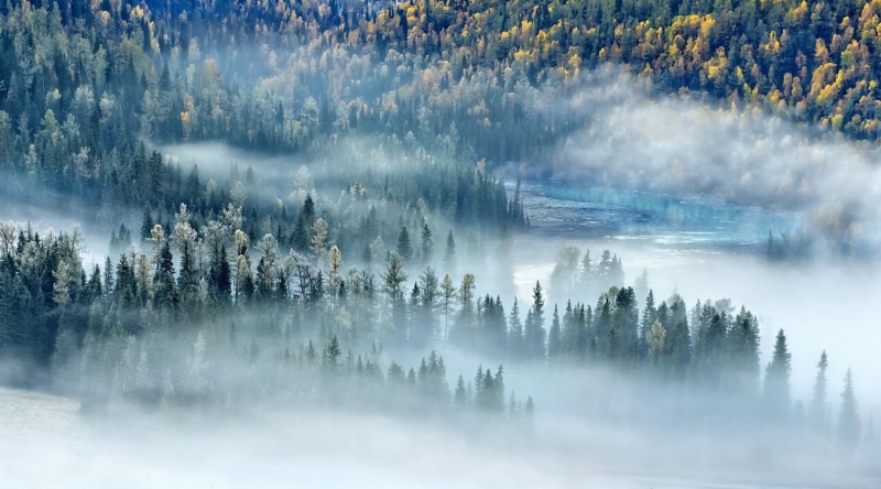 covered, China, backgrounds, scenics - nature, no People, trees, forest, mountain, tranquil Scene, 720P, scenics, sunset, travel, nature, pine woodland
