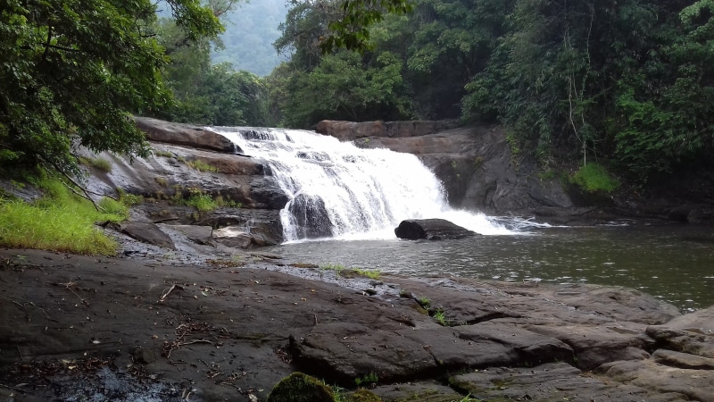 stream - flowing water, flowing Water, flowing, plant, power in nature, 2K, freshness, falling water, state - kerala, rock, landscape, solid, State, growth