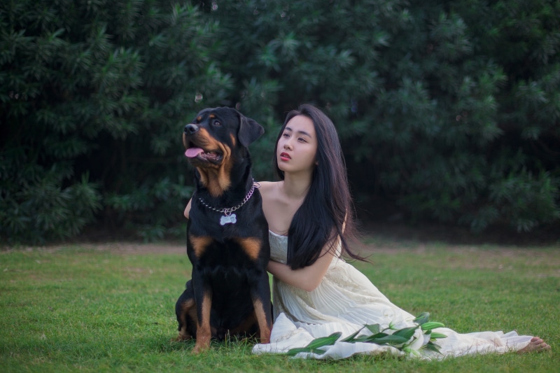 canine, young adult, long hair, real people, plant, girls, sitting, wedding dresses, beside, lily, dress, large, hair, animal, tree, mammal, pet owner