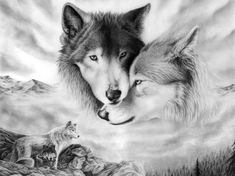 winter, portrait, animal wildlife, black And White, nature, canine, day, purebred Dog, land, field, sketch, domestic, animal Themes, love, animals Hunting