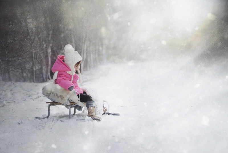 domestic animals, animal themes, bubble, outdoors, full length, nature, snow, mammal, cold temperature, snowing, domestic, one animal, dog, animal, 1080P