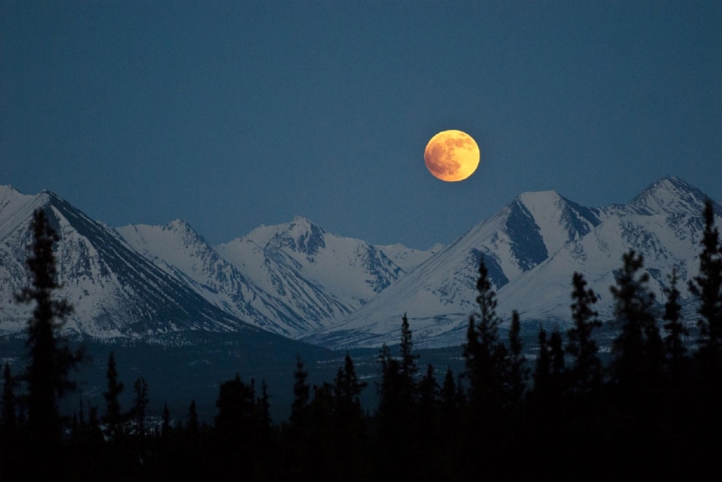 plant, snowcapped mountain, beauty in nature, outdoors, tree, park, mountain Range, moonlight, mountain, night, public domain, astronomy, 1080P, snow