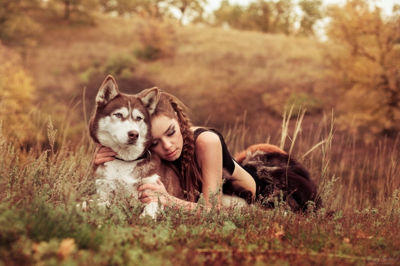 eyes, redhead, lying down, dogs, smoky eyes, siberian, 1080P, husky, braids, smoky, women outdoors, Siberian husky, women
