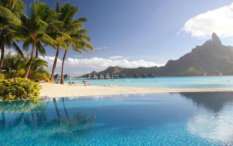 Sea, Palm, Resort, Pool, Tropical, Trees, 1080P