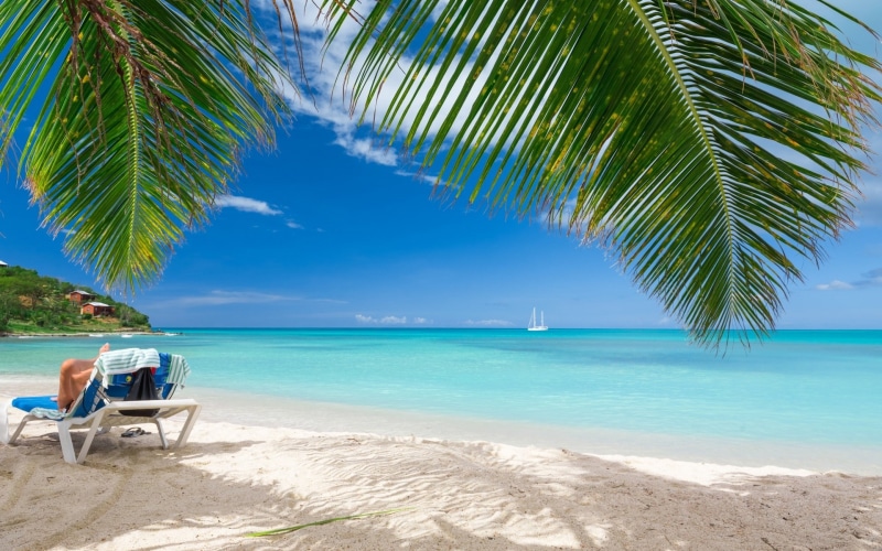 palm, sea, 1080P, sand, nature, landscape, tropical, caribbean, beach, summer, palm trees, trees, vacations