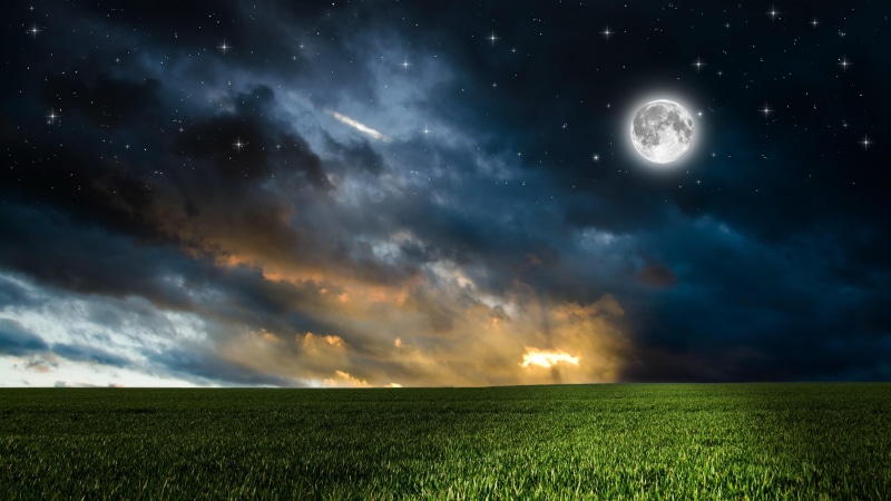 moon, grass, stars, greens, cloud, 4K, full moon, sky, night, photoshop, field