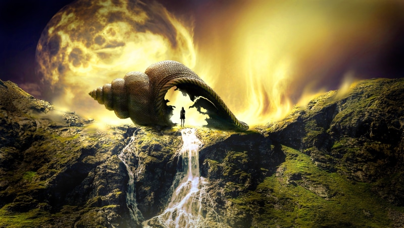 animal, solid, mystical, shell, idyllic, romance, animal wildlife, fairy tales, scenics, flame, light, rock, brown, silhouette, environment, landscape