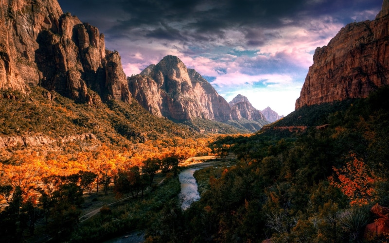 non-urban scene, plant, landscape, tranquility, scenics - nature, nature, land, change, sky, no people, water, rock - object, mountain, mountains, Zion National Park