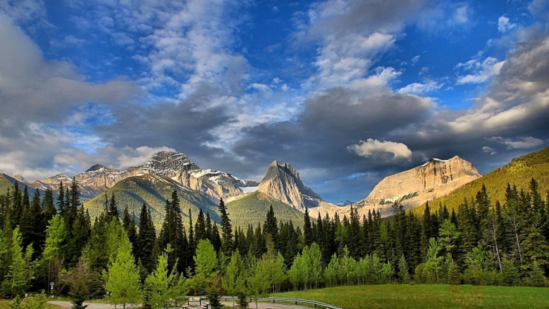 Canadian, Trees, 1080P, Alberta, mount, Canada, Forest, Rockies, Lougheed