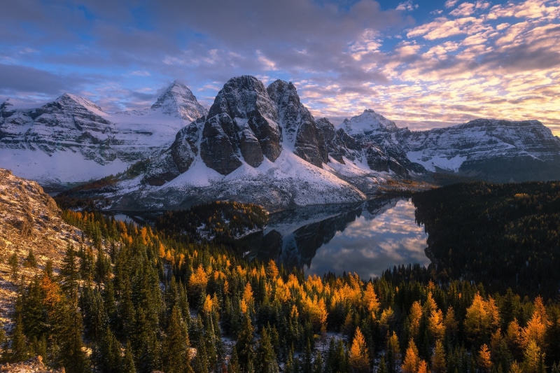Canadian Rockies, lake, forest, autumn, British Columbia, 1080P, Lake Cerulean, Canada, Mount Assiniboine, Cerulean Lake, mountains