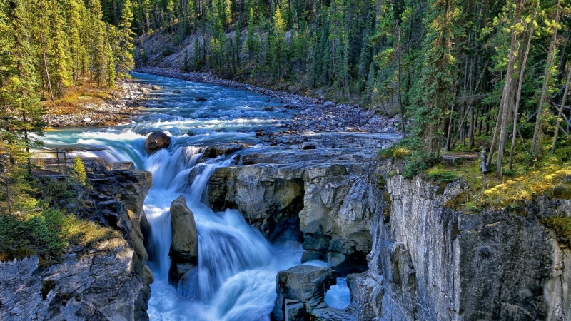 canada, forest, nature, waterfall, tree, rocky mountains, sunwapta river, stream, 1080P, alberta, rock, pine forest, body of water, national park, sunwapta falls