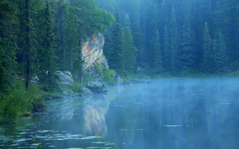 Canada, lake, idyllic, tranquility, plant, forest, tree, water, waterfront, mist, day, growth, morning, 480P, coniferous tree, beauty in nature, remote