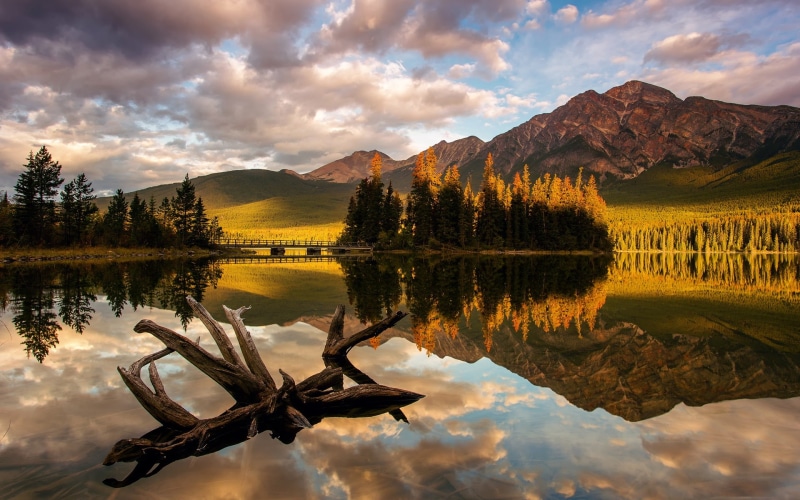Light, 1080P, Mountain, Park, Trees, Canada, Jasper, Lake, Pyramid, Morning, National
