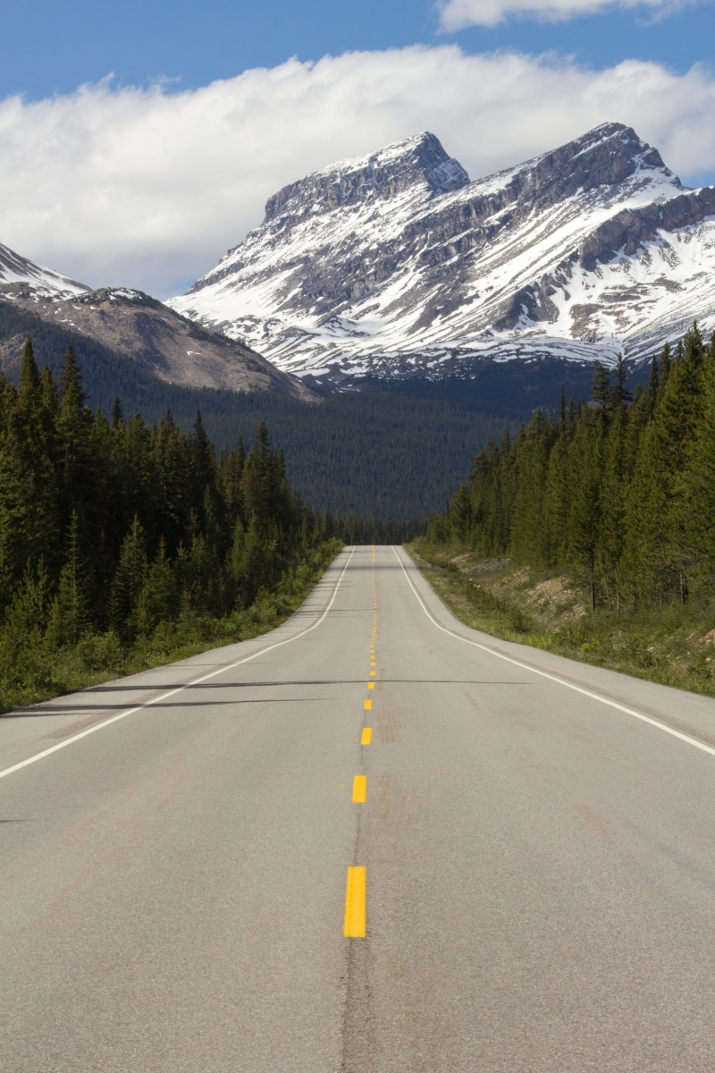 highway, landscape, straight, long road, tree, highway mountain, snowcapped mountain, snow, mountain road, banff, jasper, marking, distance, way, mountain