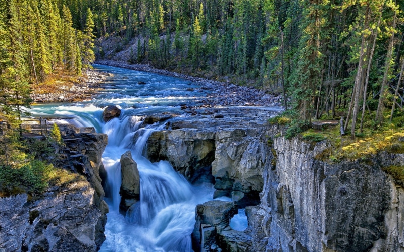 Falls, Jasper, Canada, 1080P, River, Park, National, Sunwapta, Trees