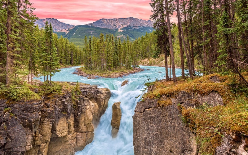 environment, jasper, rock - object, water, flowing water, power in nature, beauty in nature, scenics - nature, forest, solid, hd, sunwapta, land