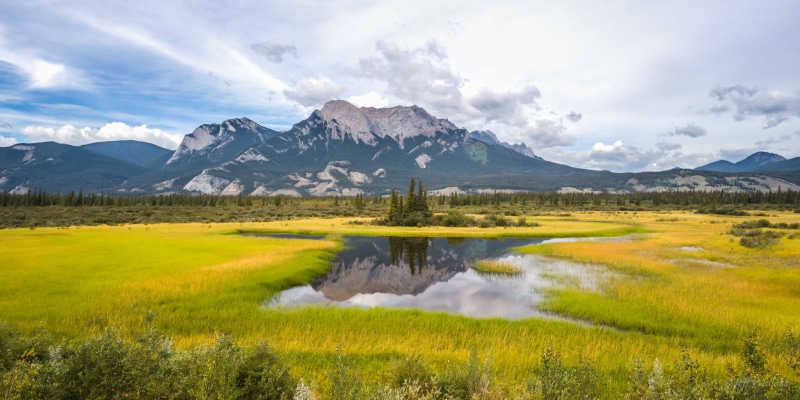 green leaves, Bosche Range, leaves, cloud, Autumn, Canada, Jasper National Park, environment, Explored, reflection, Improvement District No. 12, green