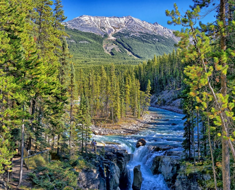 forest, 1080P, Jasper National Park, waterfall, mountains, Sunwapta River, Alberta, Sunwapta Falls, river, Jasper, Canada, Albert