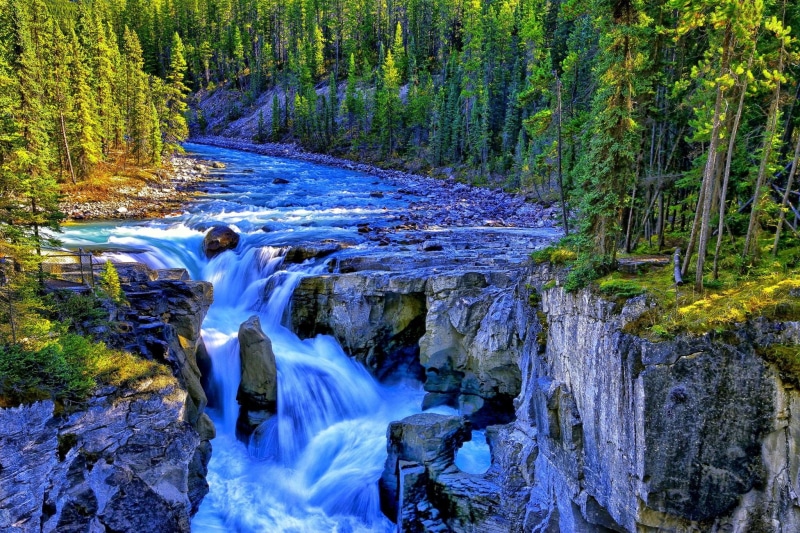 trees, rocks, sunwapta river, sunwapta, sunwapta falls, 1080P, canada, jasper national park, falls, waterfall, river
