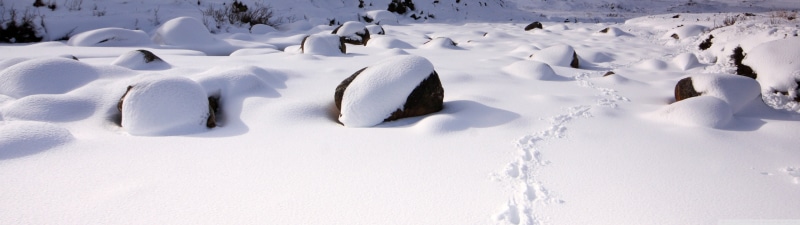 frozen water, no people, frozen, covered, outdoors, environment, water, land, ice, winter, panoramic, animal wildlife, beauty in nature, snowing, white color