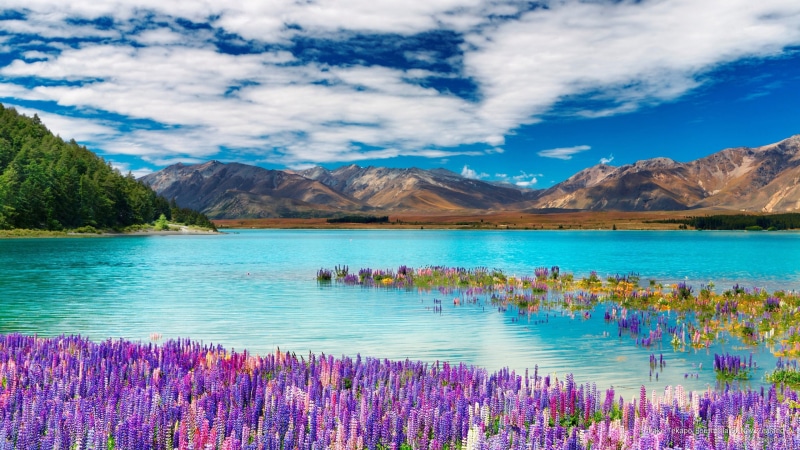 island, 2K, tekapo, south, zealand, lake, Oceania, new