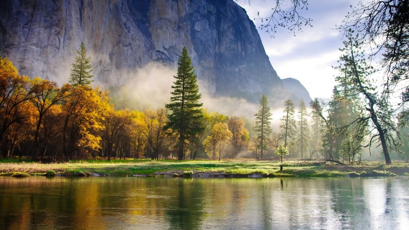 Morning, Scenery, Forest, Lake, Nature, Mountains, Mist, 1080P