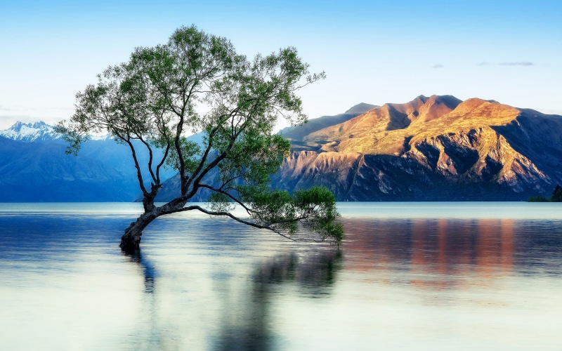 new, non-urban scene, lake, 4K, outdoors, beautiful, wanaka, tree, mountain, water, plant, tranquility, reflection, sea, beauty in nature, sky