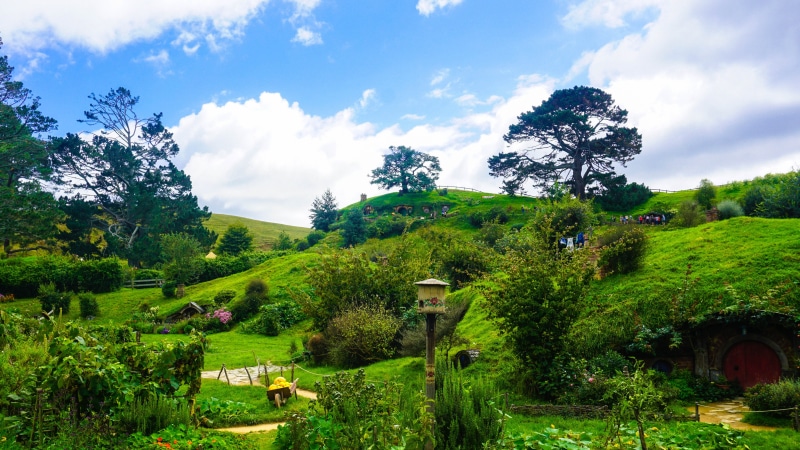 non-urban scene, new zealand, grass, the shire, no people, tranquility, tranquil scene, fantasy, green color, tree, field, plant, hobbiton, beauty in nature