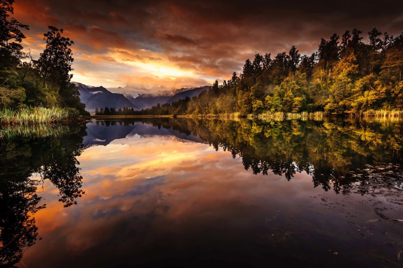 New Zealand, reflection lake, morning, tranquility, coniferous tree, Fox Glacier, sky, reflection, tranquil scene, National Park Westland, lake, beauty in nature
