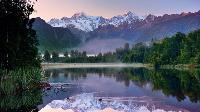 mount tasman, bank, tranquility, new zealand, nature, lake matheson, mountain range, non-urban scene, tree, scenics - nature, snowcapped mountain, no people