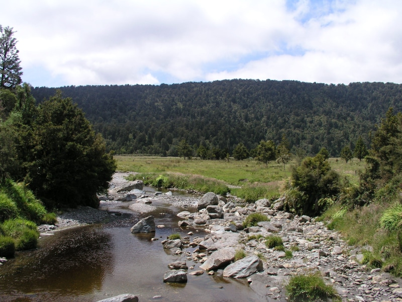river at lake matheson, stream - flowing water, mountain, scenics - nature, flowing water, cloud - sky, plant, forest, sky, no people, country, land, flowing