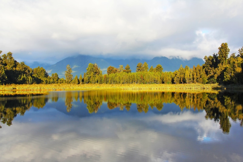 cloud - sky, day, yellow, non-urban scene, waterfront, no people, green, autumn, coniferous tree, front, scenics - nature, lake, body, trees, calm, blue