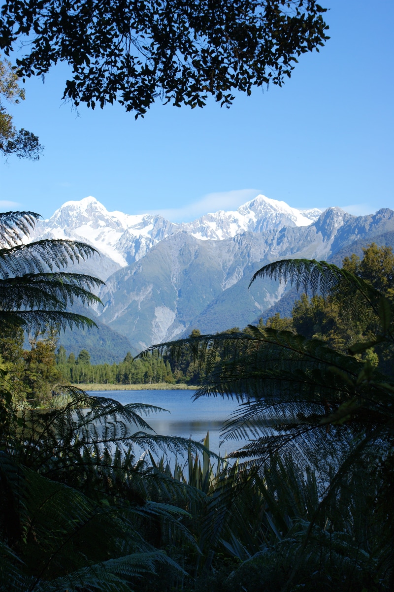 cold temperature, snowcapped mountain, new zealand, plant, snow, mountain peak, scenics - nature, sky, mountain range, growth, mountain, winter, lake, nature