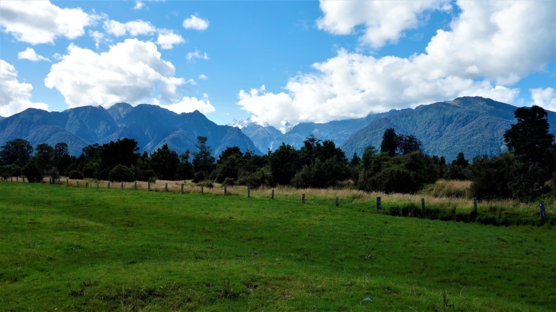 tree, plant, beauty in nature, grass, plain, new zealand lake matheson jetty viewpoint, sky, snowcapped mountain, outdoors, tranquility, cloud - sky, mountain