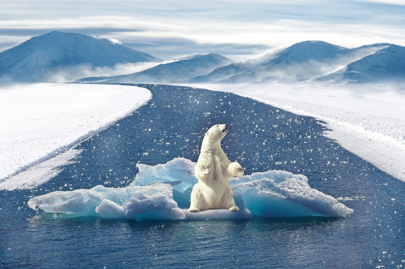 ice, landscape, mountains, scenics - nature, climate, environment, polar climate, glacier, composing, iceberg - ice formation, photo montage, bear, river